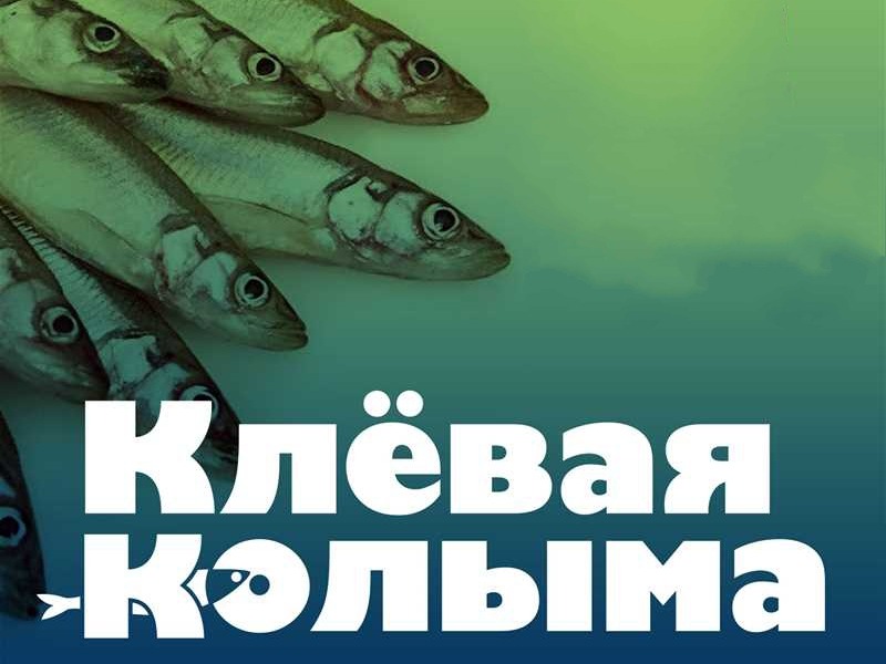 Фестиваль «Клёвая Колыма — 2026»: азарт, рыба и колымский колорит!.